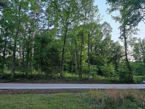 Undeveloped Residential Lot on Highway