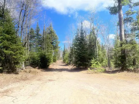Michigamme Vacant Land For Sale