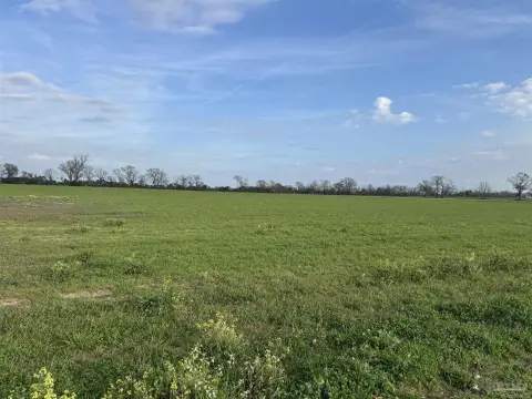 Flat Agricultural Land in Jay, FL