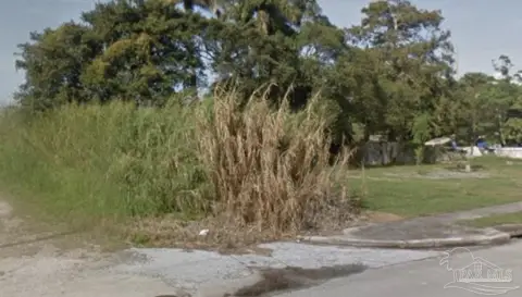 Land Near Lake Okeechobee