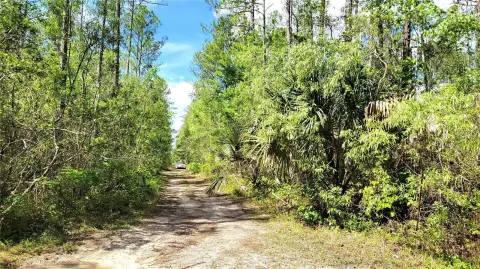 2.5 Acres Industrial Land, Deland
