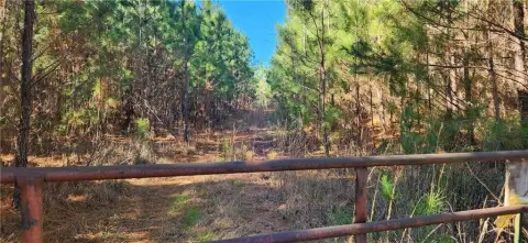 65.5 Acres of Land in Elberton