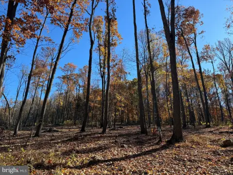 38.1 Acres in Purcellville, VA