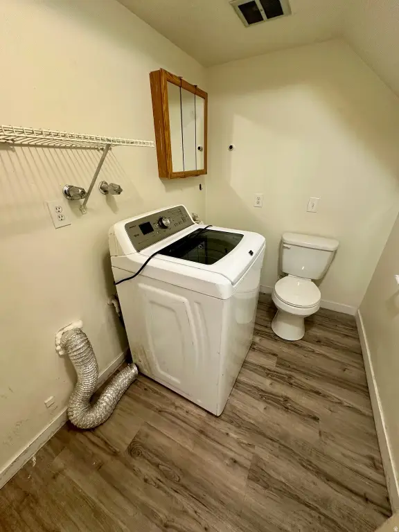 Picture 5
