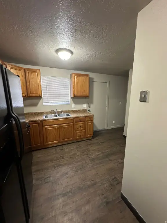 Picture 41