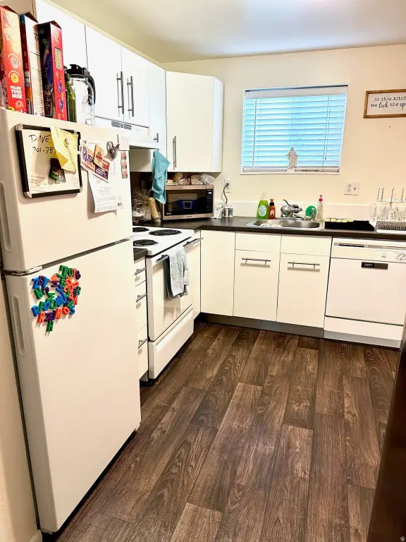 Picture 21
