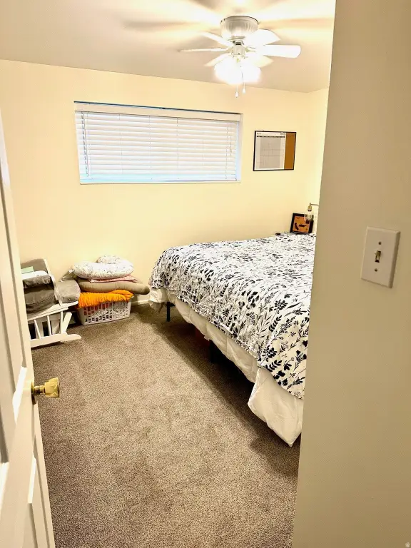 Picture 24