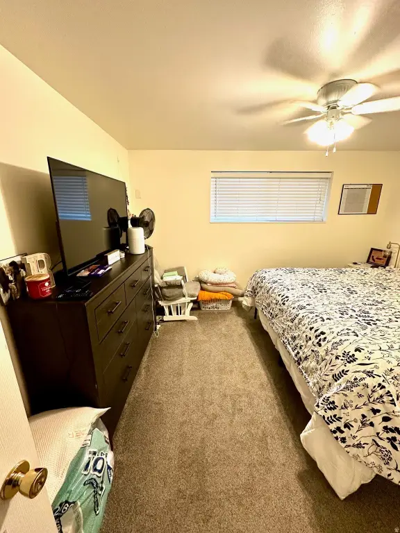 Picture 26