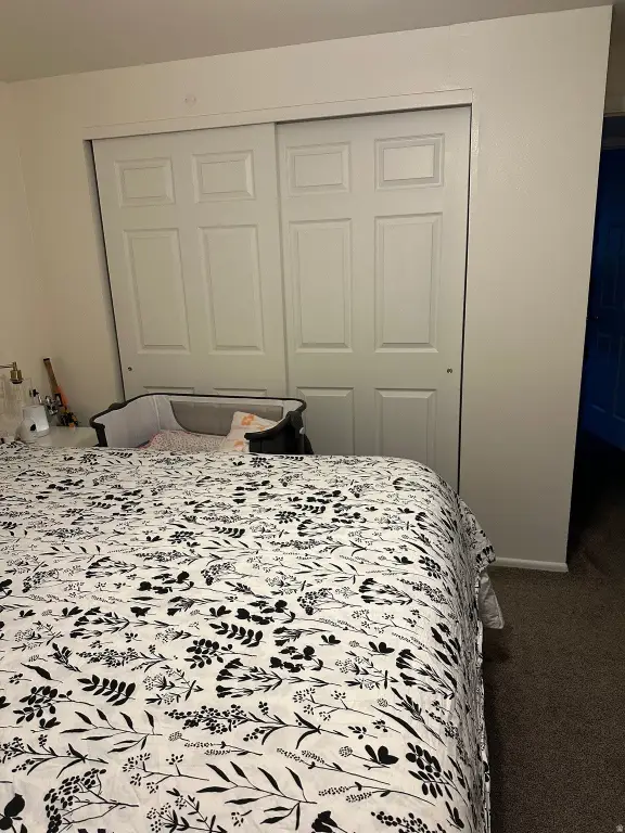 Picture 27