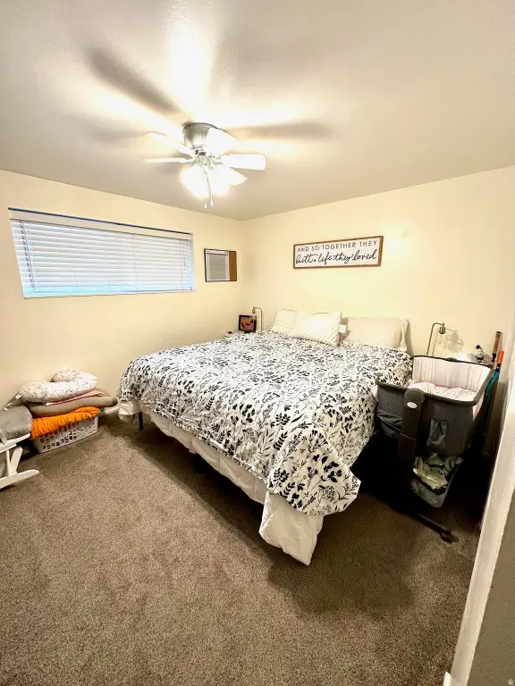 Picture 25