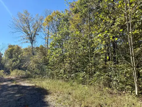 7.39 Acres Wooded Land