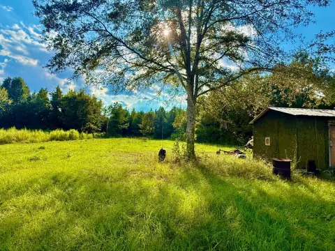 Pine Hill Vacant Land Opportunity