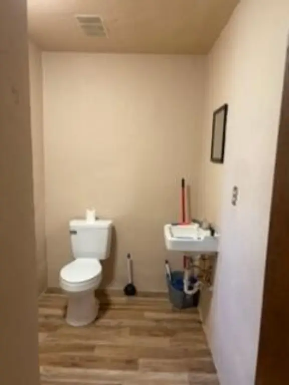 Picture 14