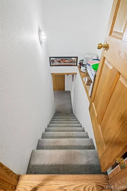 Picture 20