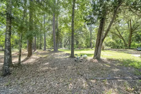 Estate-Residential Acreage Land