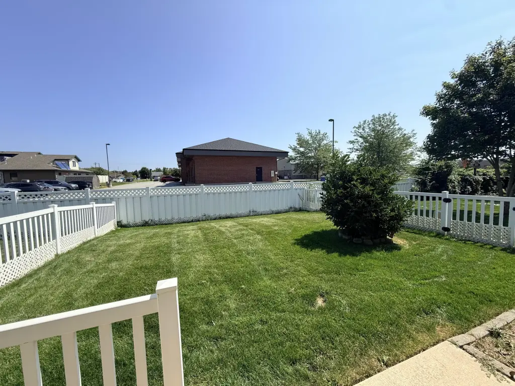 Picture 19