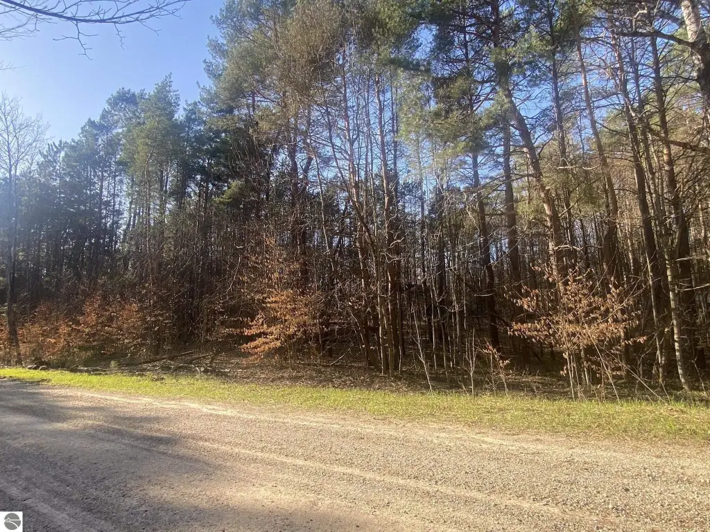 Picture 3