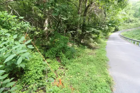 Sevierville Land with Road Frontage