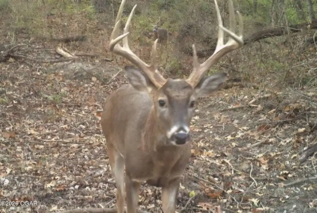 Picture 2