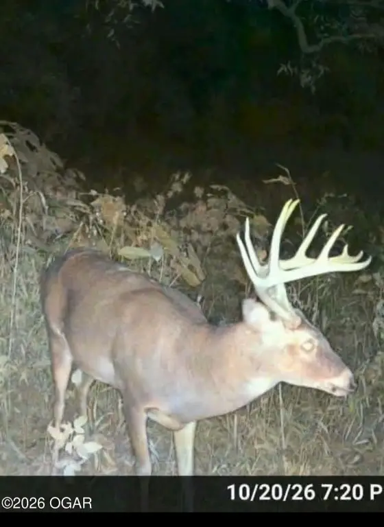 Picture 16