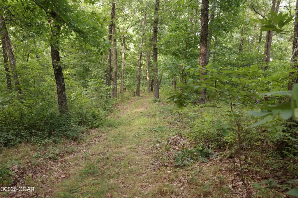Picture 22