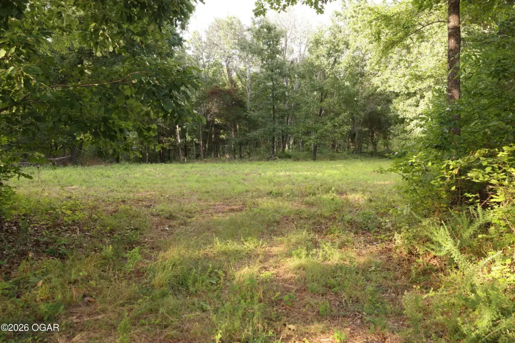 Picture 16