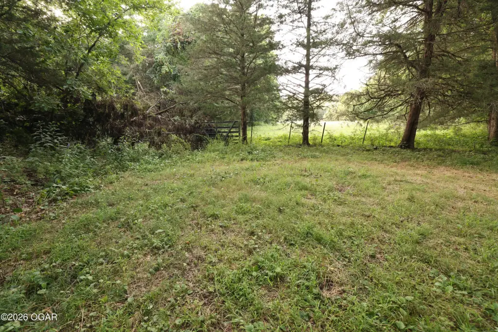Picture 47