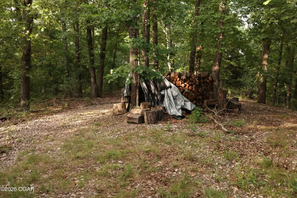 Picture 24