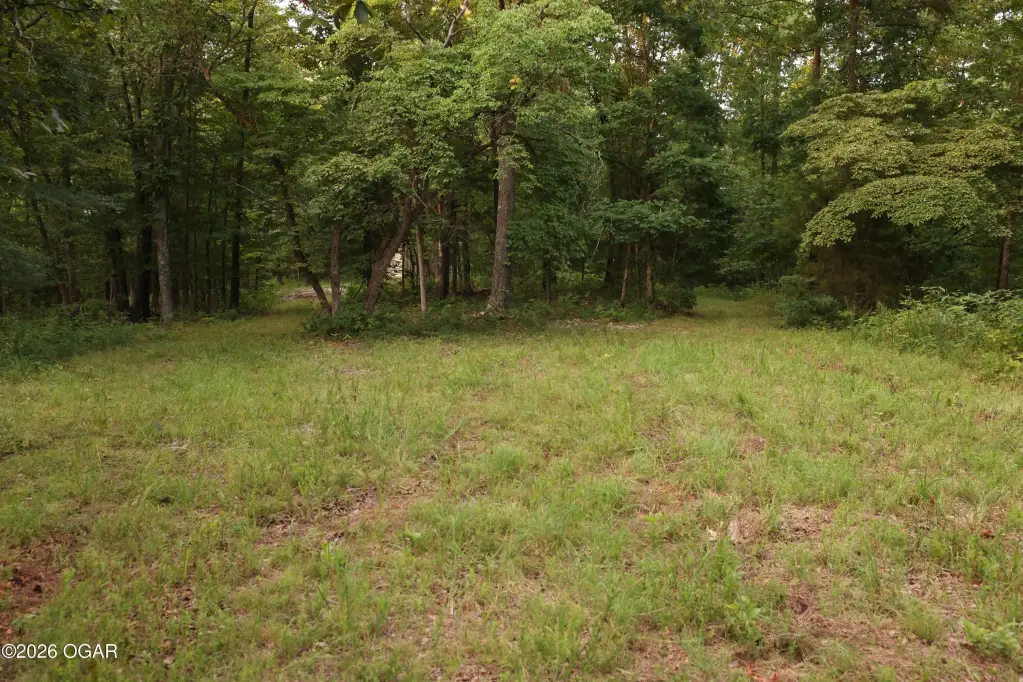 Picture 52