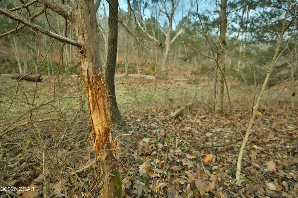 Picture 38