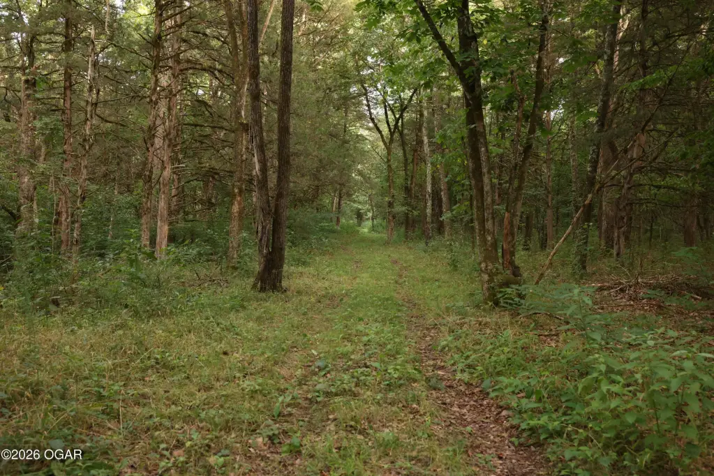 Picture 37