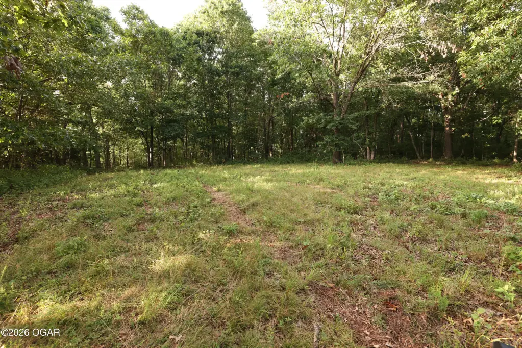 Picture 19