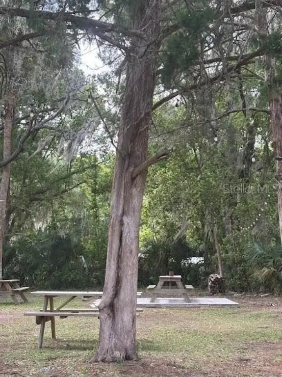 Picture 31