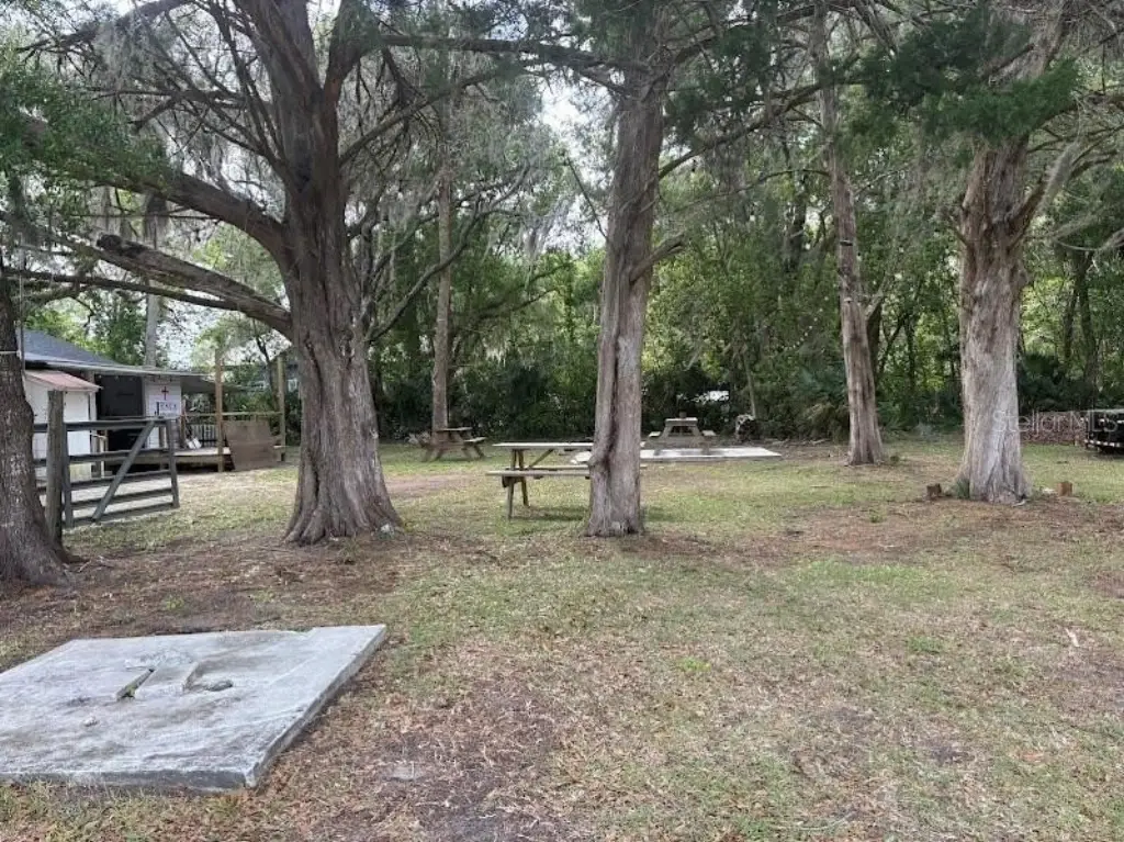 Picture 30