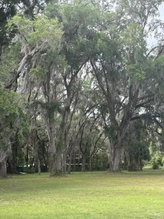 Picture 32
