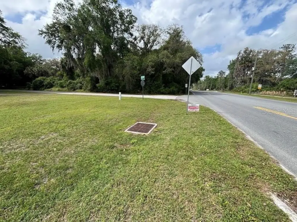 Picture 8