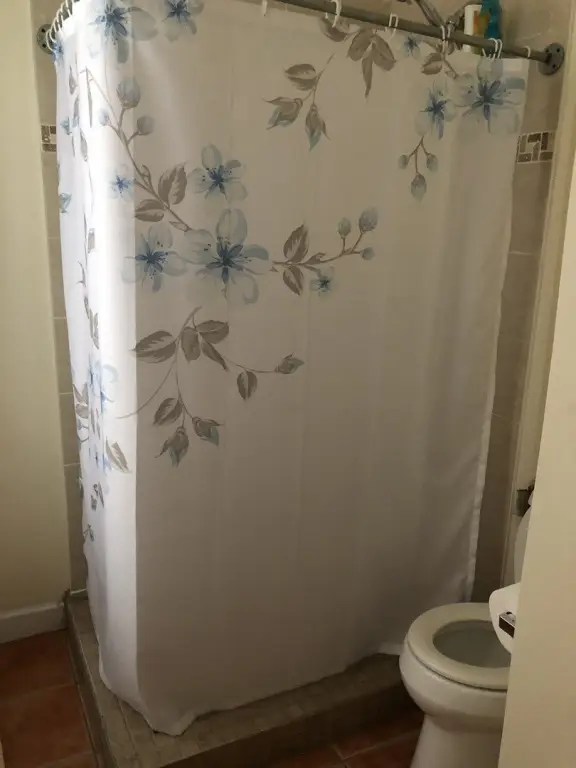 Picture 23