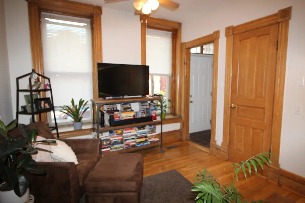 Picture 5