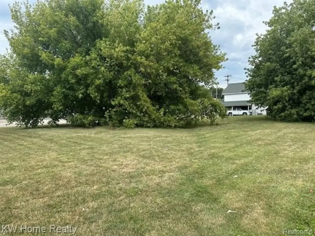Picture 3