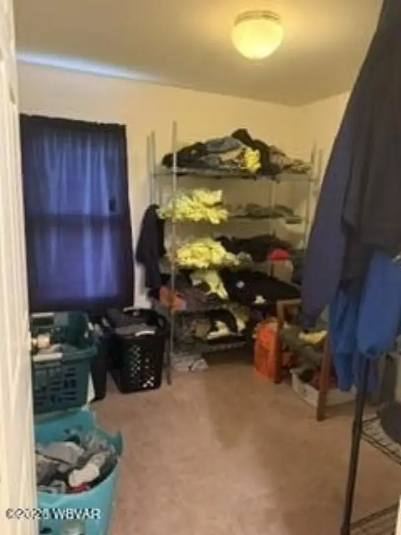 Picture 44