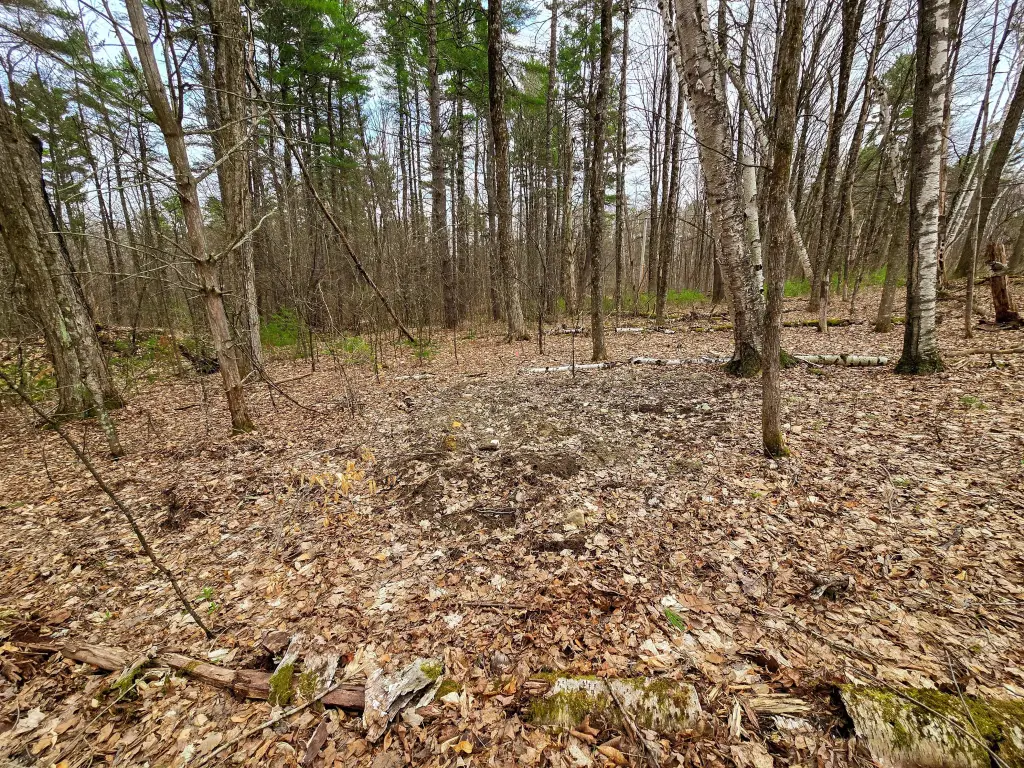 Picture 36