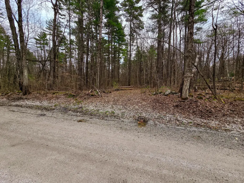 Picture 27