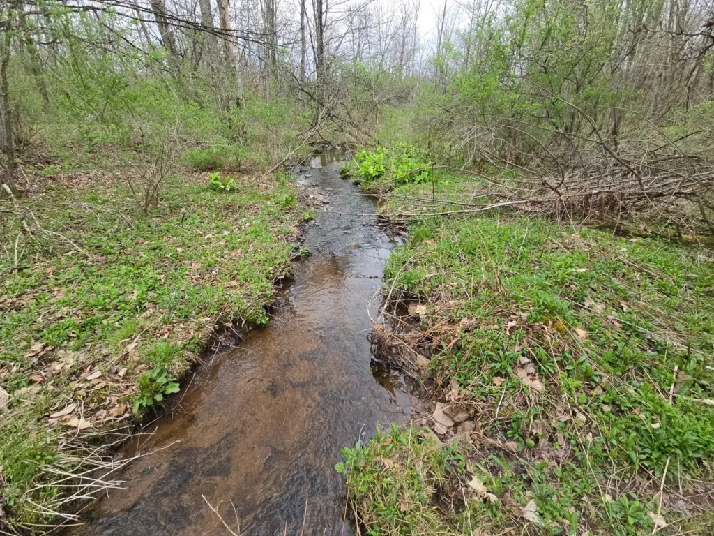 Picture 18