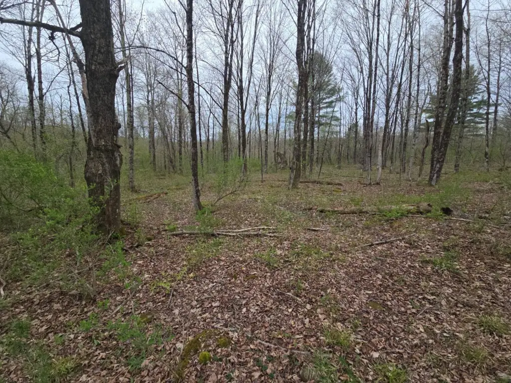 Picture 28