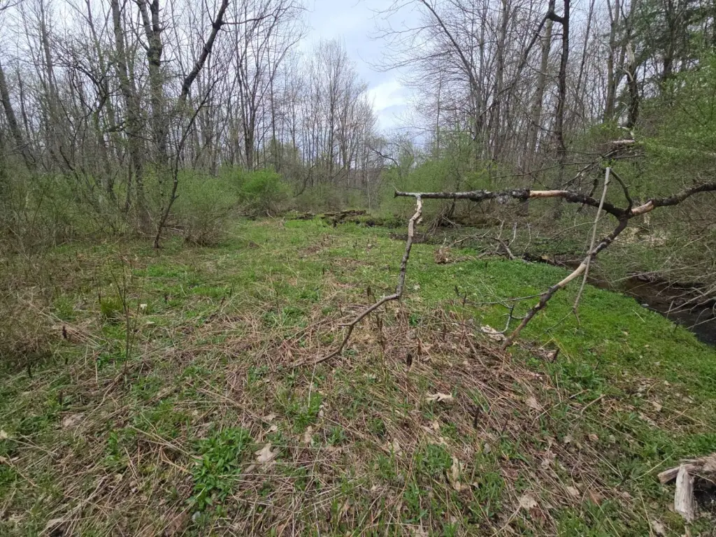 Picture 16