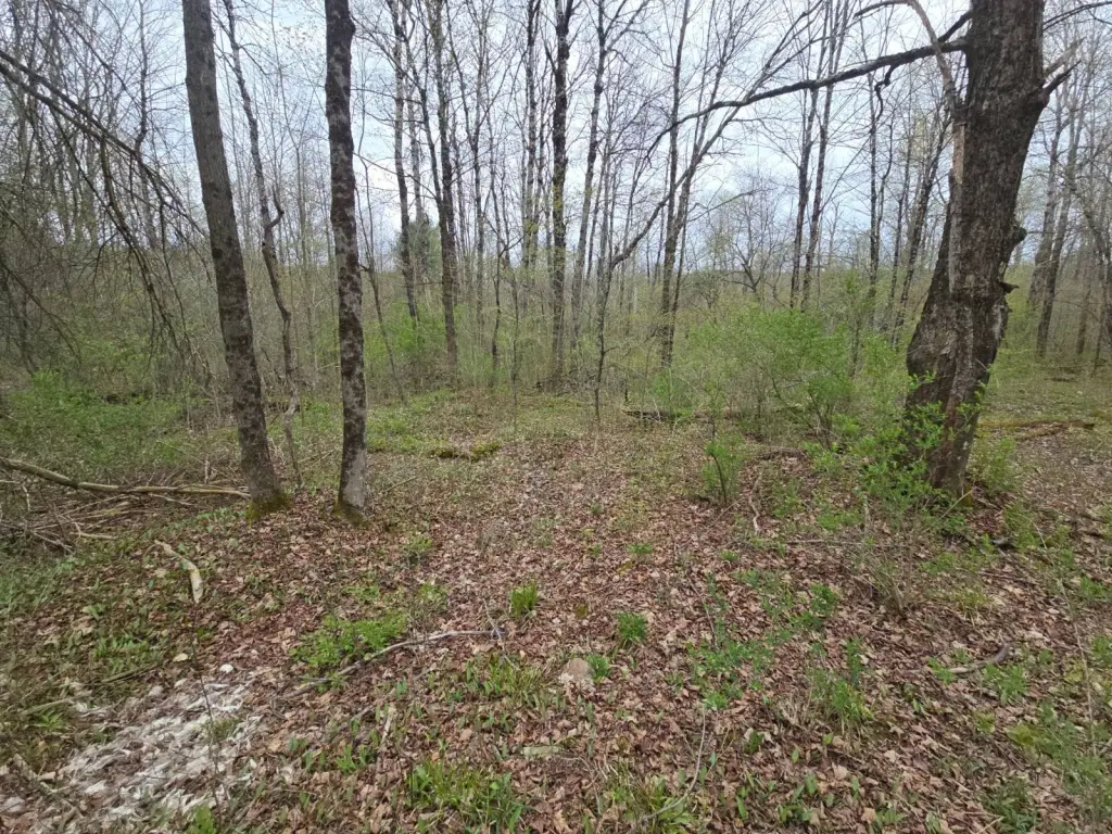 Picture 29