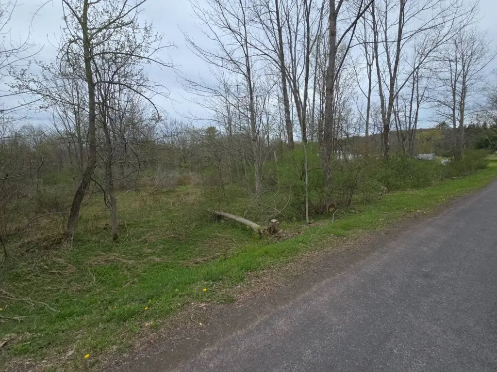Picture 5