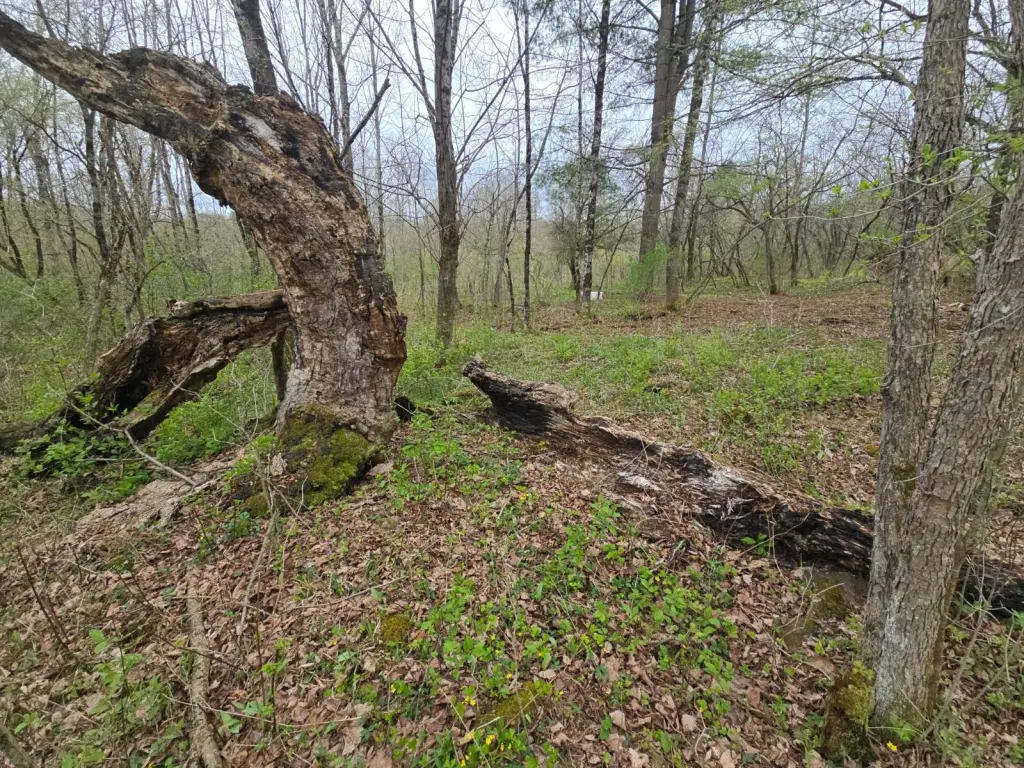 Picture 30