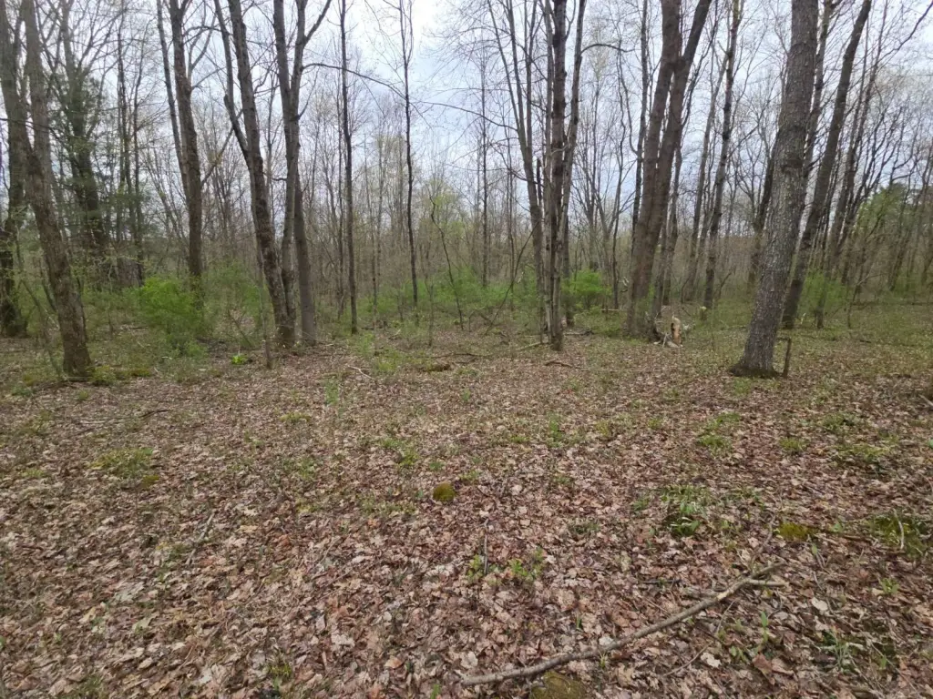 Picture 21