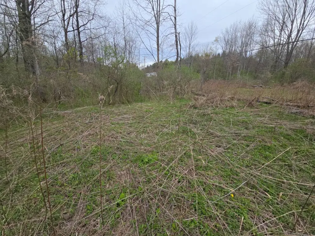 Picture 11